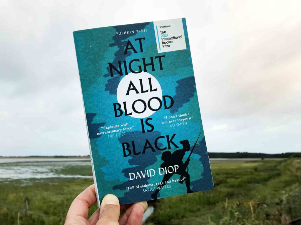 At Night All Blood is Black book cover David Diop