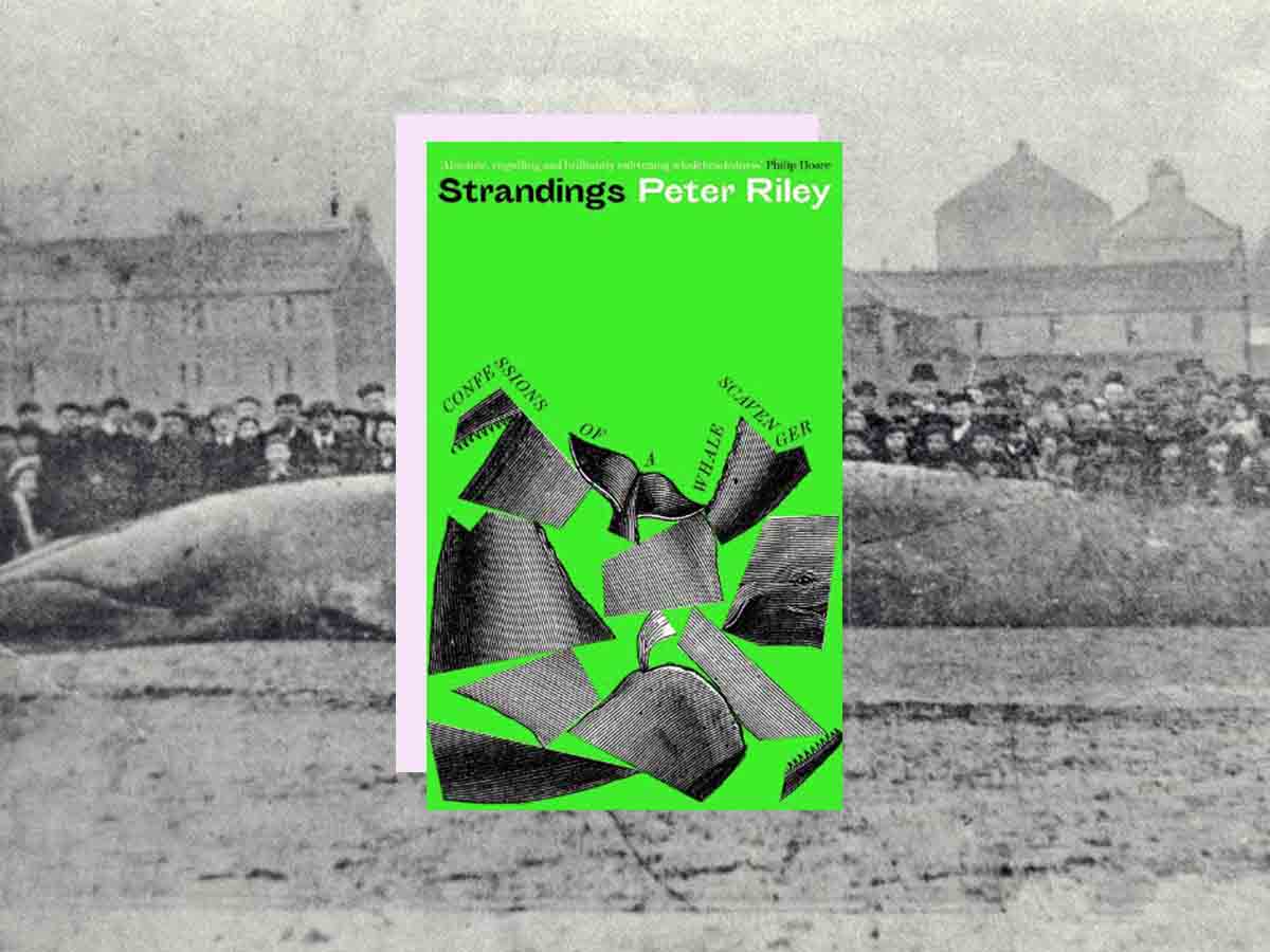 Strandings by Peter Riley
